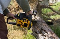 Tree Service Experts Bendigo image 3